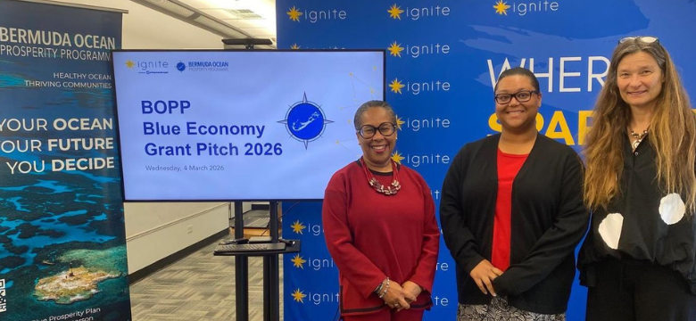 Ignite and BOPP host pitching competition for Blue Entrepreneurs